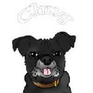 Meet your Posher, Shelley